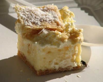 čebela jaka.jpg