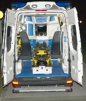 Sprinter delfis Bled