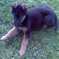 Nekoč bom tudi jaz reševalka :)