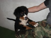 Po kopanju...vprašanje pa je kdo je bil bolj moker :)