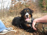 Najlepši del sprehoda je....je počitek :)