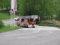 IMG_7955.jpg