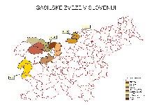 karta.jpg