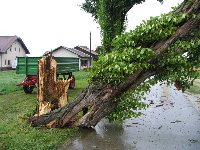 jah no, ni bilo veliko potrebno, bi padel sam od sebe :(