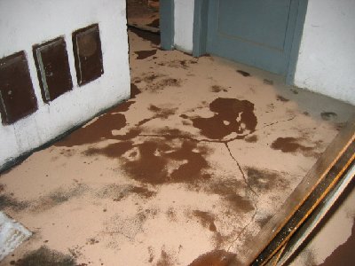 Izlitje kurilnega olja ( grajska 48a ) 003.jpg