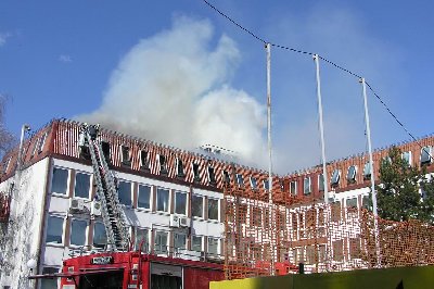 Resize of P3131877.JPG