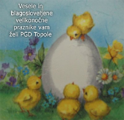 pirhi05.jpg