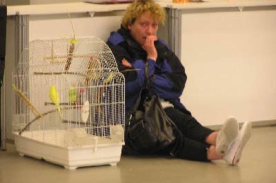 hišni ljubljenčki.JPG