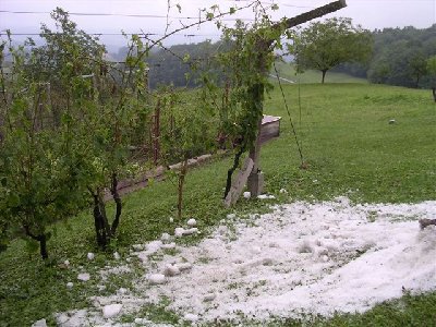 toča 5.JPG