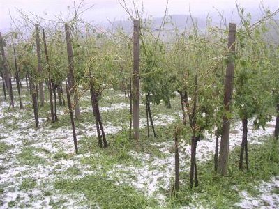 toča 4.JPG