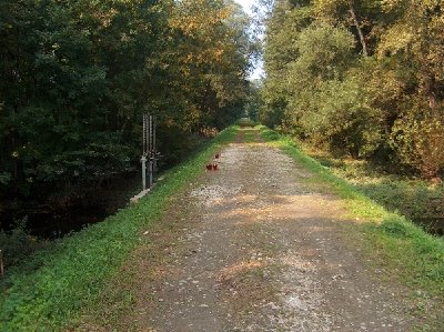 pokojni je padel v vodo na desni strani, kjer ga je voda preko kanala potisnila na poplavljeno območje v smeri reke Mure (na levi strani-vidne tudi zapornice)