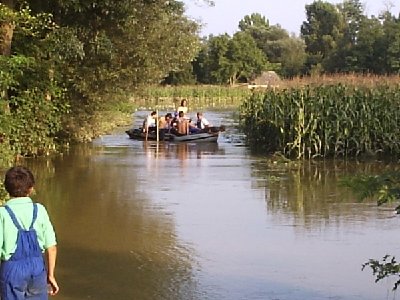 za užitek so nekateri čolnarili, tudi kontrola poplavljenega kamiona s čebelami je bila opravljena