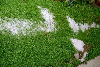 Toča je bila še vidna naslednji dan okoli poldneva!