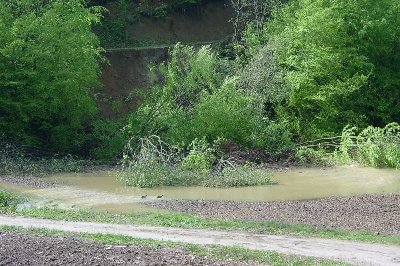 Plaz, ki je zasul potok...