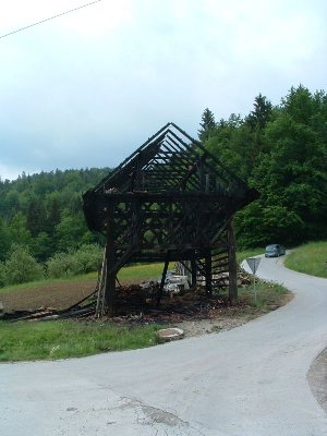 p1.jpg