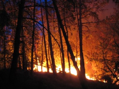 slikca med izvidovanjem 22.15uri