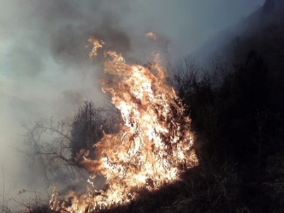 Ko se je požar iz suhe trave razširil na grmičevje je vse skupaj postalo še nevarnješe...