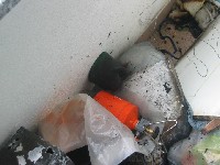 IMG_0369.JPG