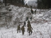 gasilci in vojaki odstranjujejo podrto drevje na trasi daljnovoda Čepovan - Lokovec