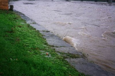 Resize of drava 1.jpg